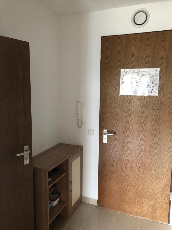 B506, Schoenes Und Gemuetliches Appartement Lahnstein Bagian luar foto